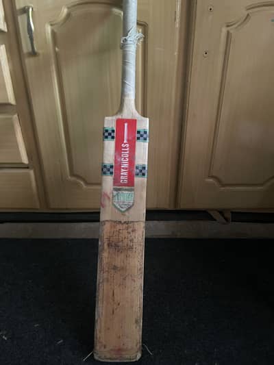 Hard ball bat (cricket)