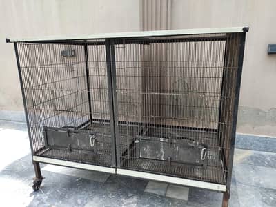parrots cage