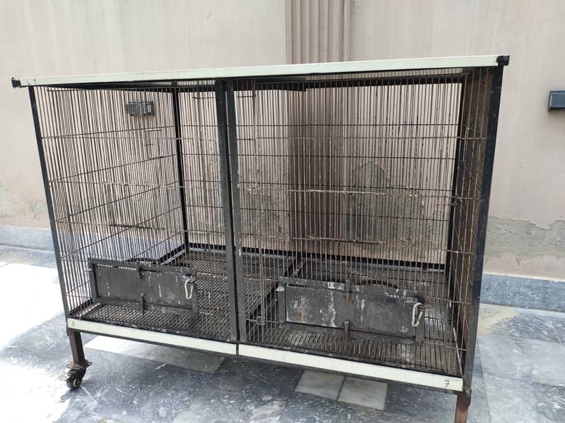 parrots cage 0