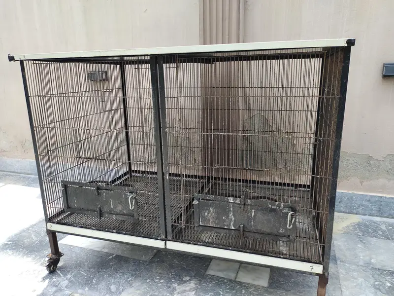 parrots cage