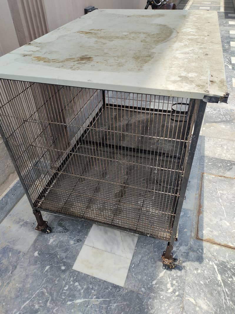 parrots cage 1