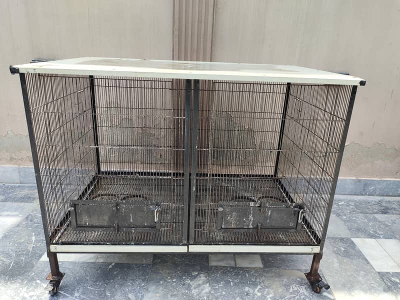 parrots cage 2