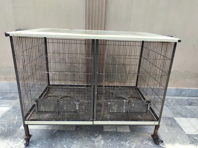 parrots cage — photo 3