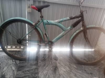 cycle for sale