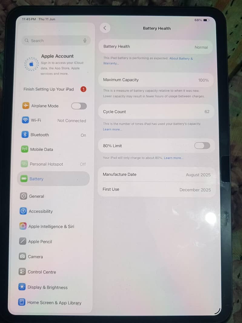 Ipad M5 256 1
