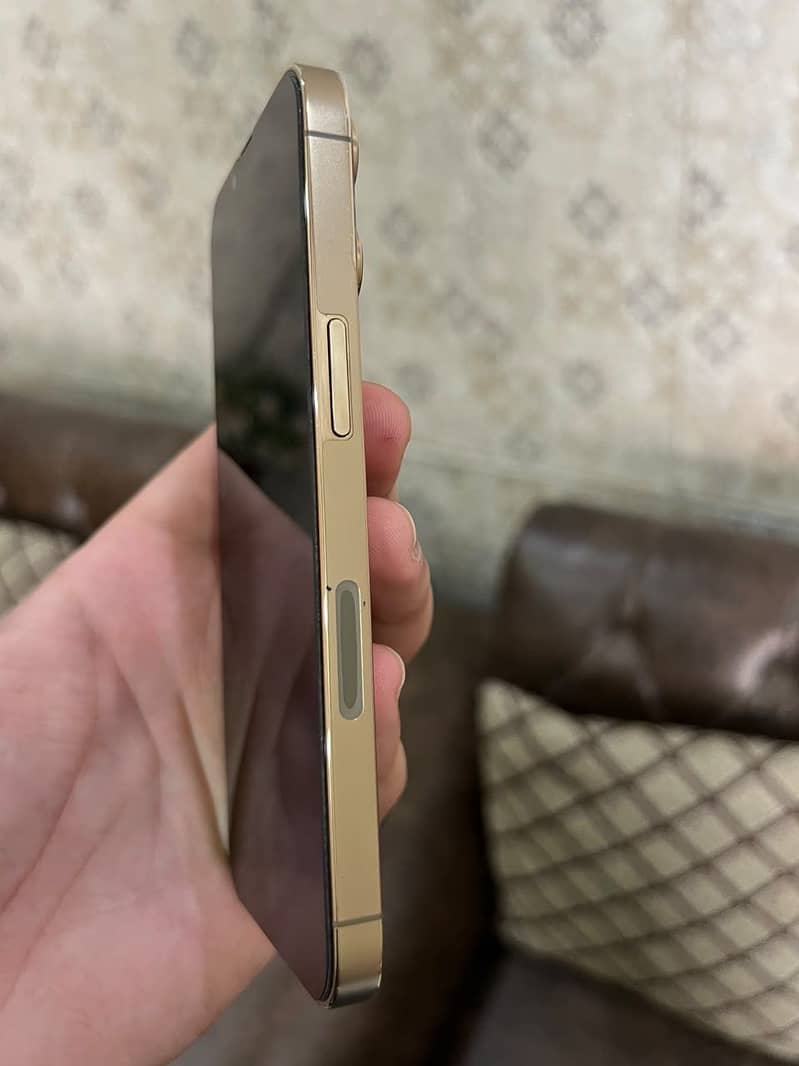 Apple iPhone 13 Pro 0