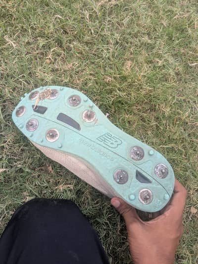 New balance spikes cricket