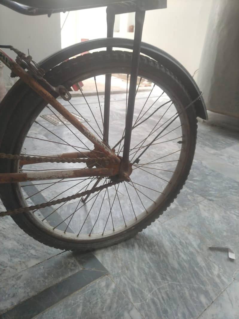 byecycle 1