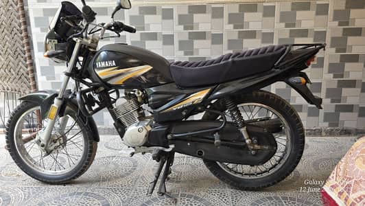 Yamaha Ybz 2019 model