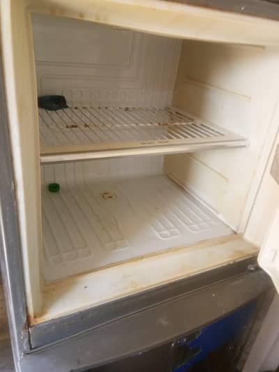 best fridge