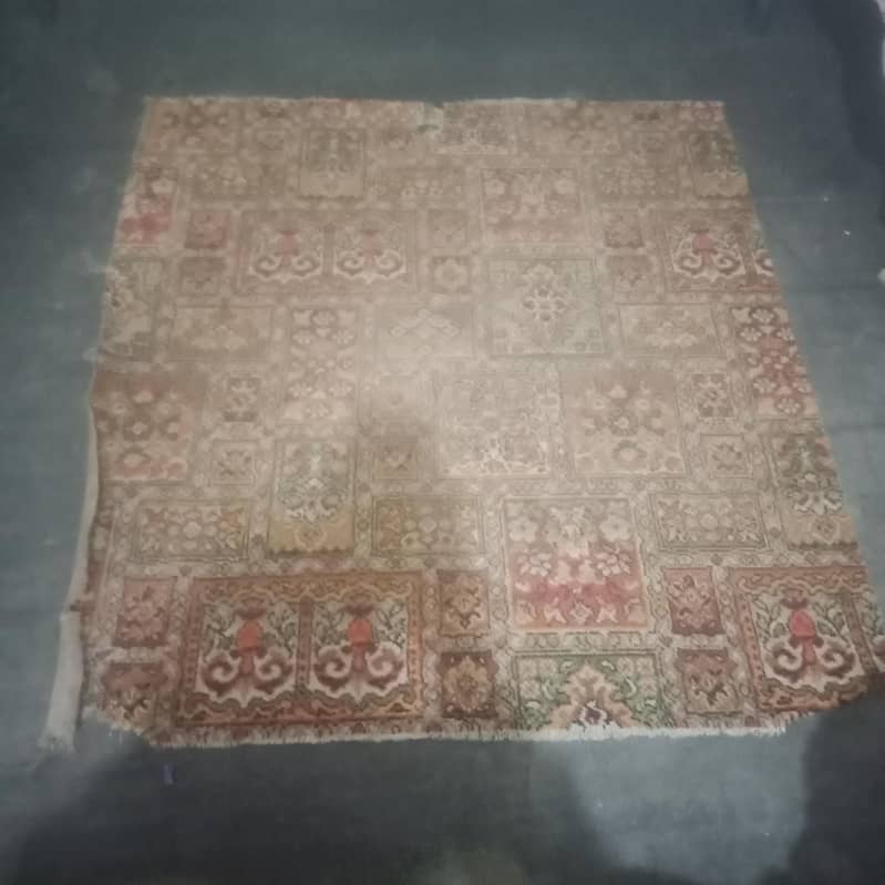 Carpet 0