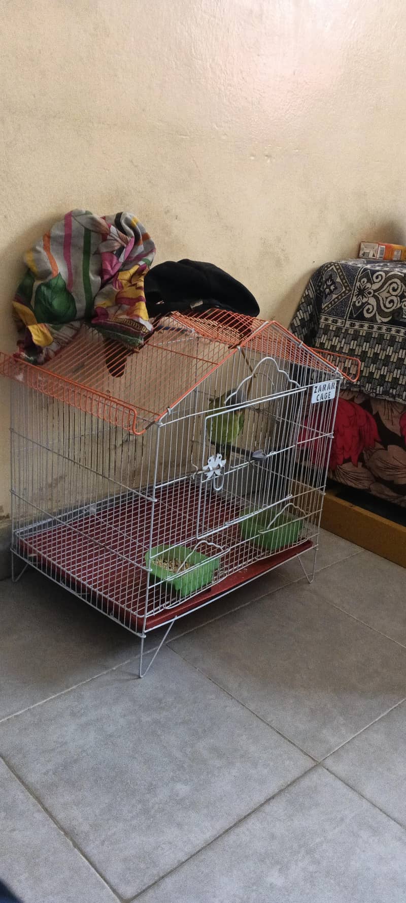 parrots 0