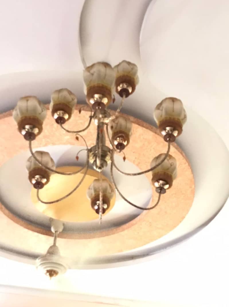 decorative 3