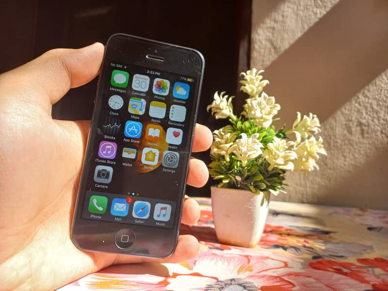 Apple iPhone 5 3
