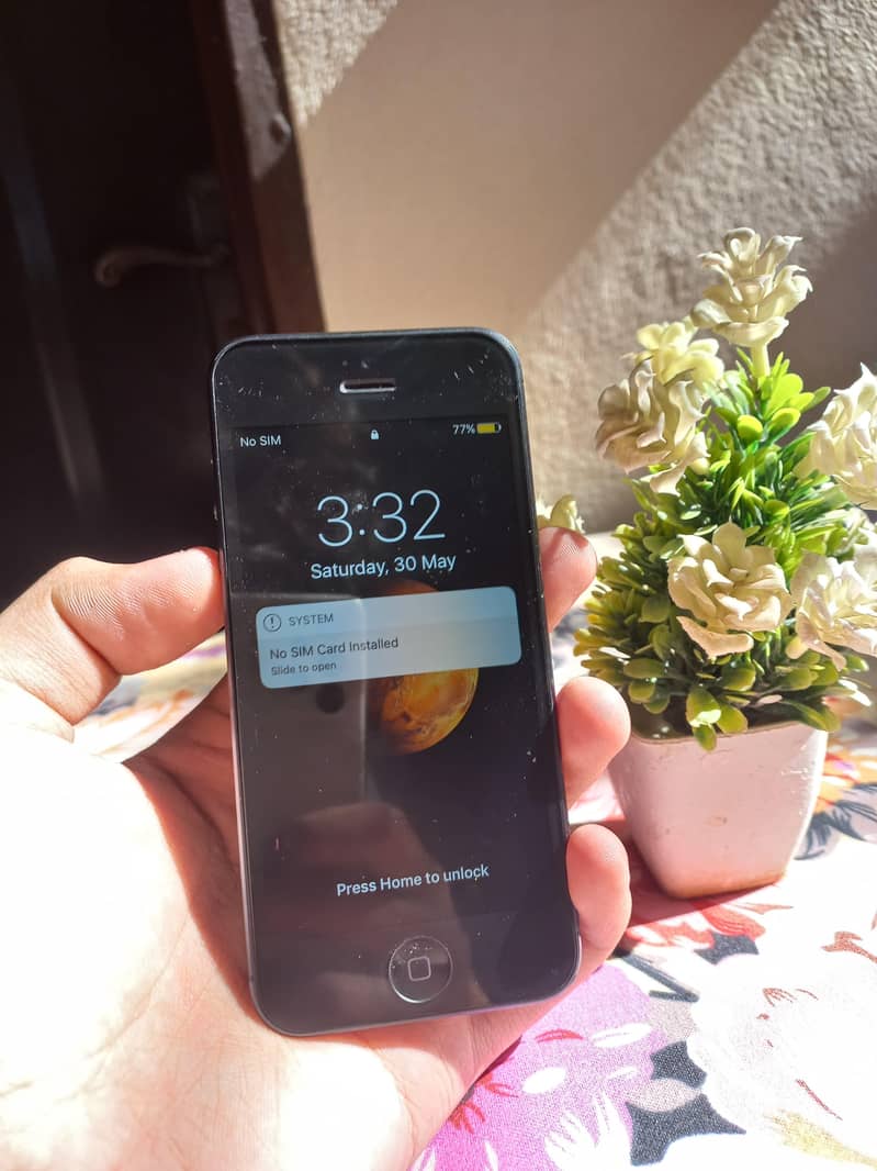 Apple iPhone 5 5
