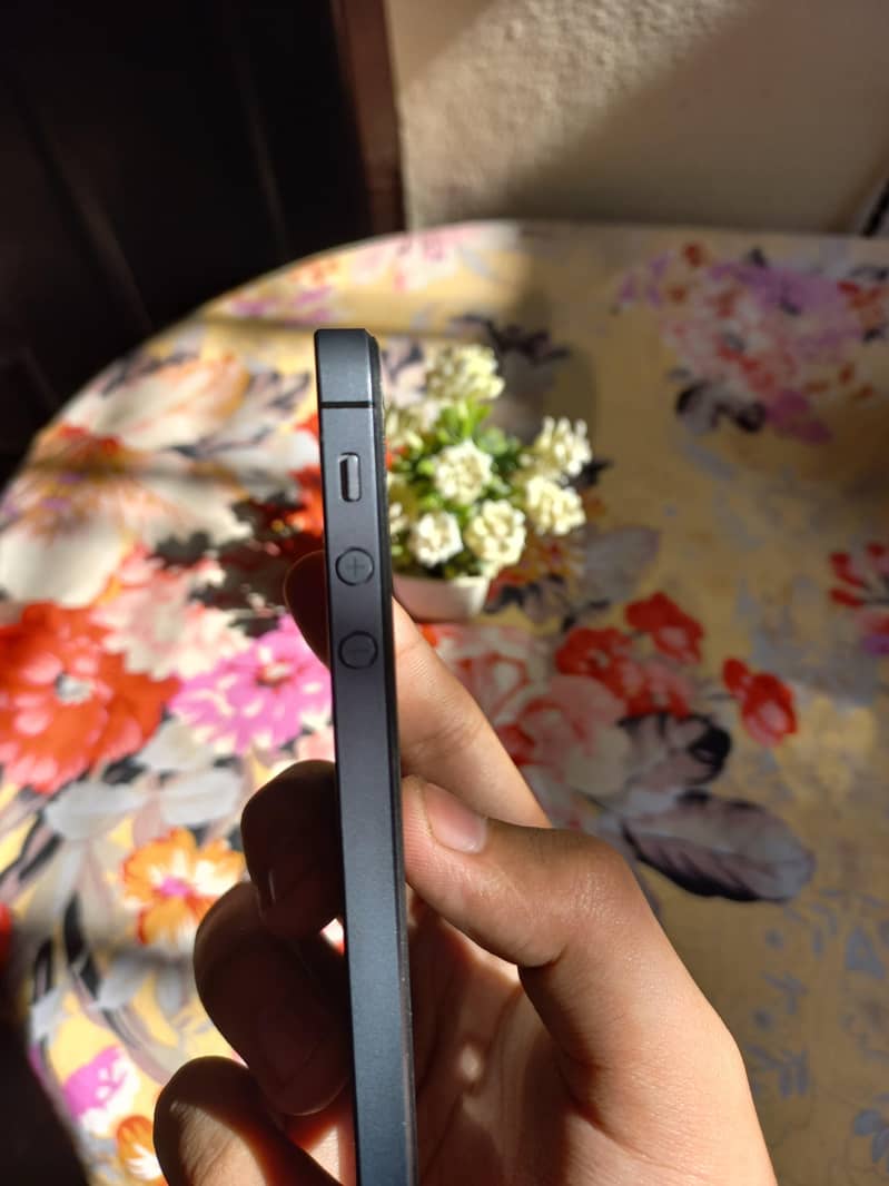 Apple iPhone 5 6