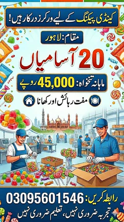 We need worker 03095601546