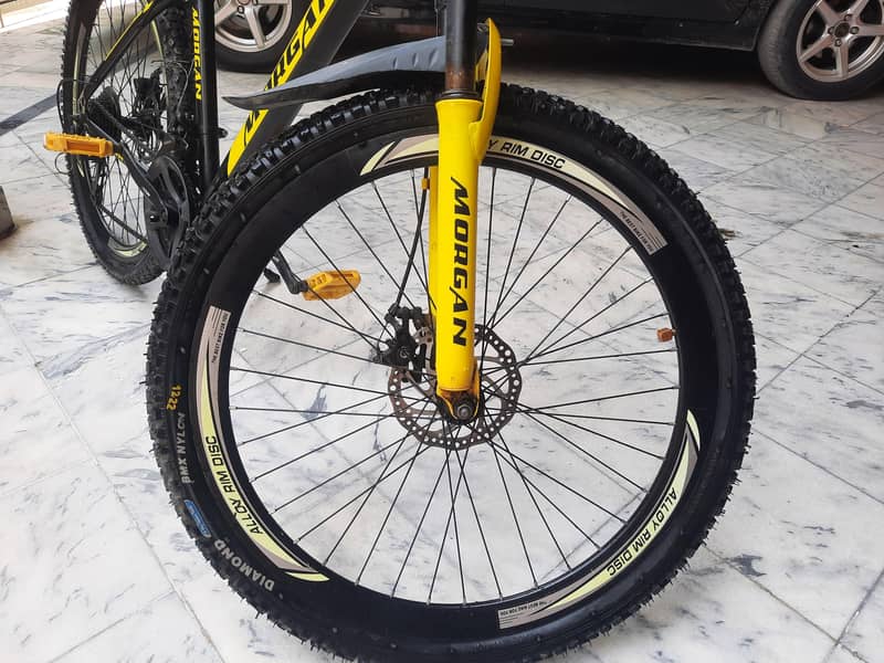 Morgan Cycle 3