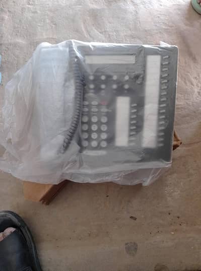 Avaya 6424D02C