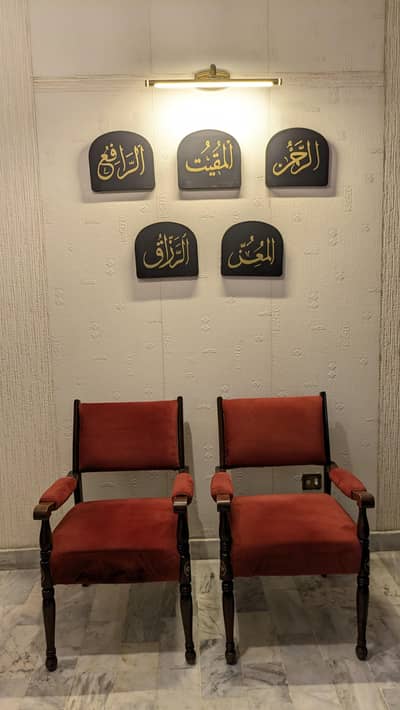 Solid Shesham Wood pair of chairs