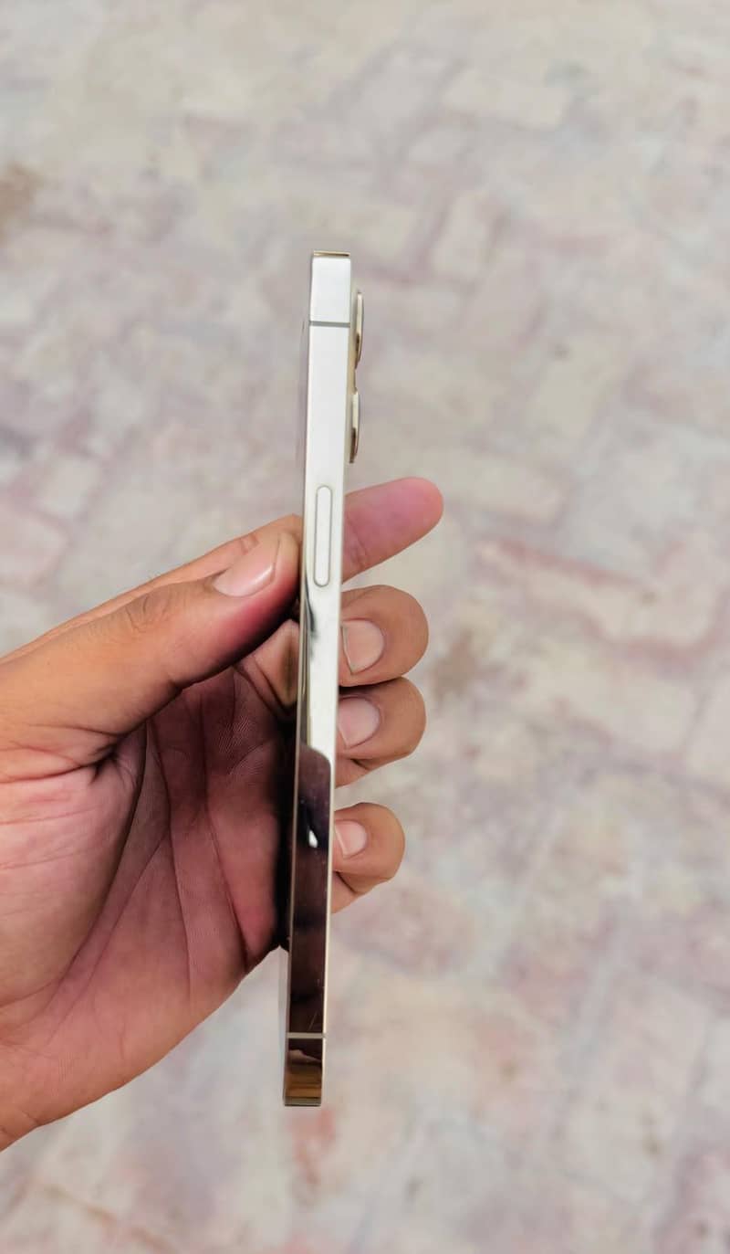 ip12promax 2