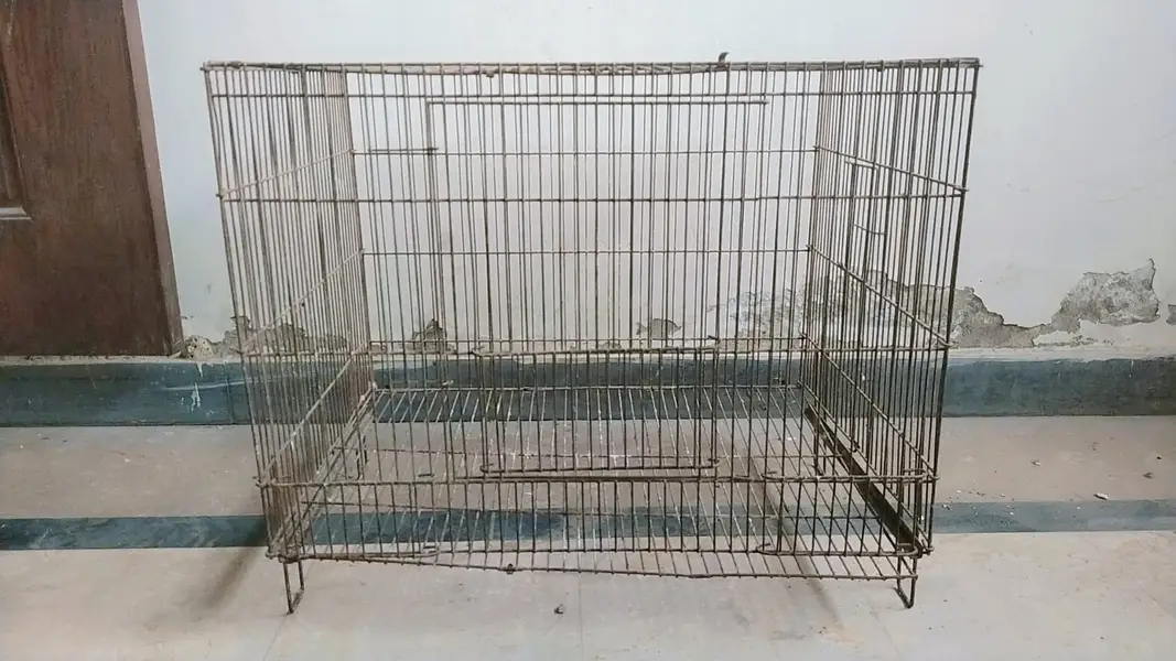 Steel cage 1.5 x 2 ft