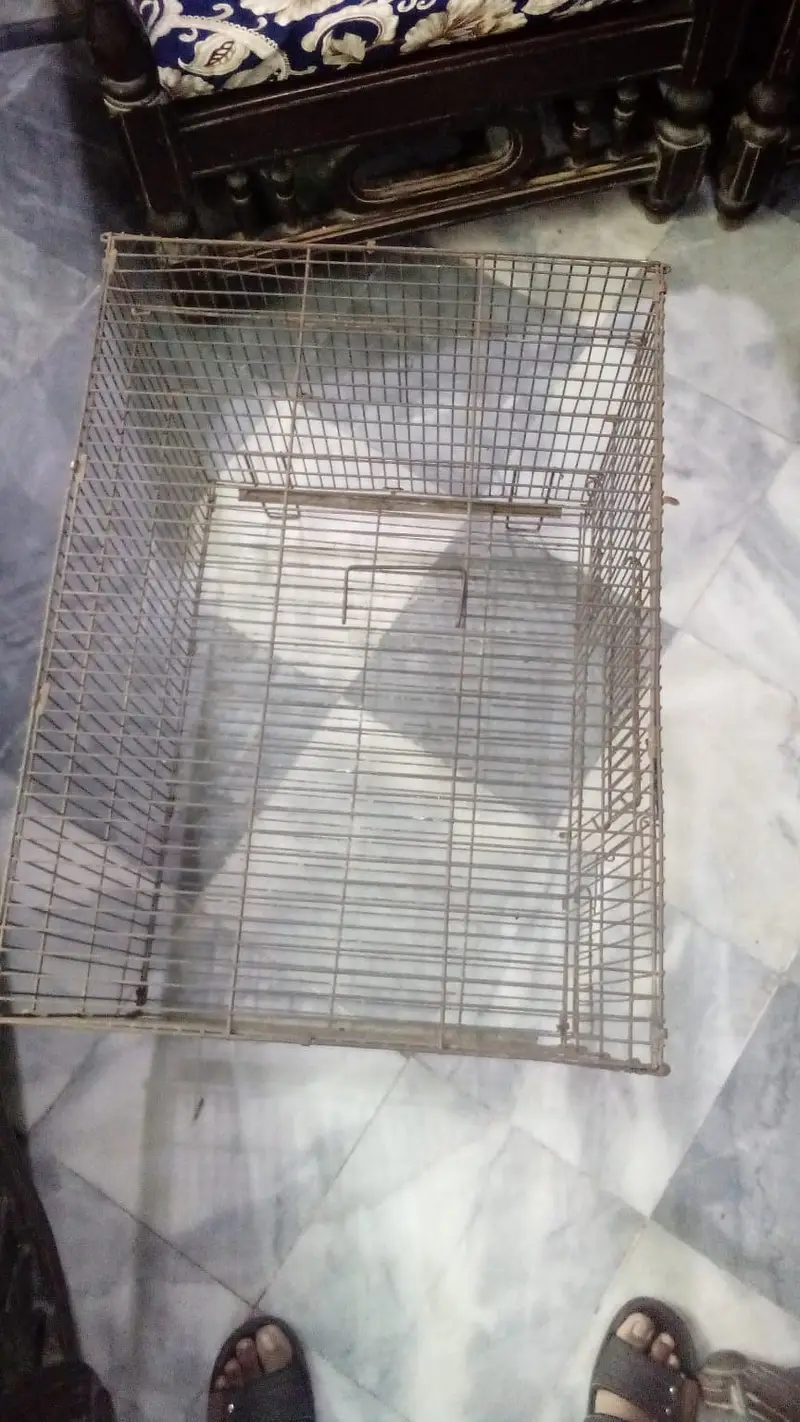 Steel cage 1.5 x 2 ft — photo 2