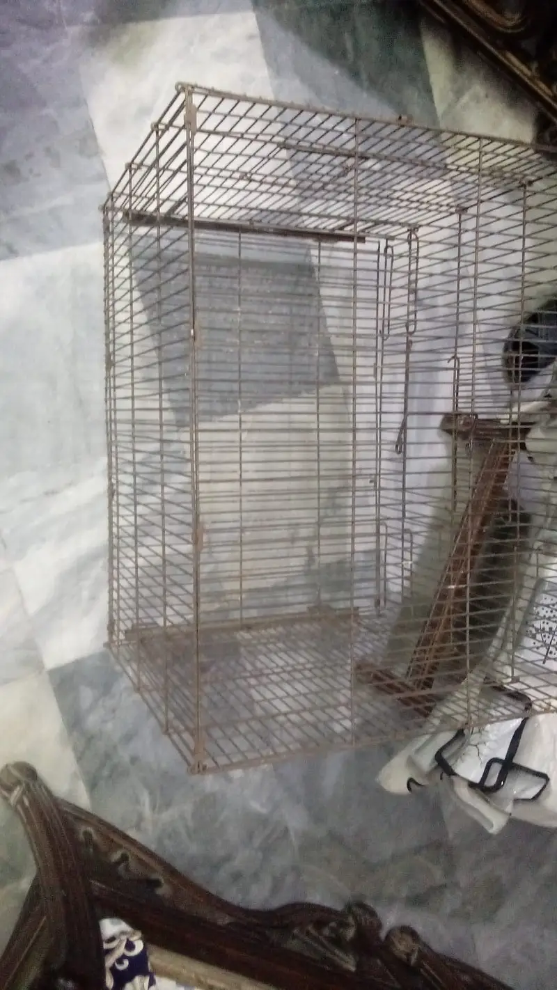 Steel cage 1.5 x 2 ft — photo 3