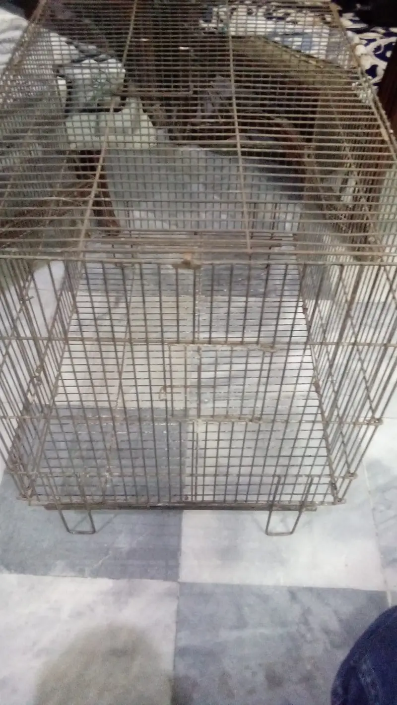 Steel cage 1.5 x 2 ft — photo 4