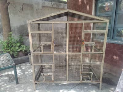 hen and bird cage