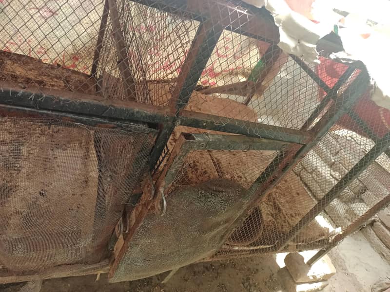 Hen cage 2