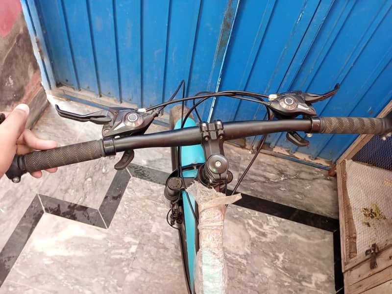 bycycle 1