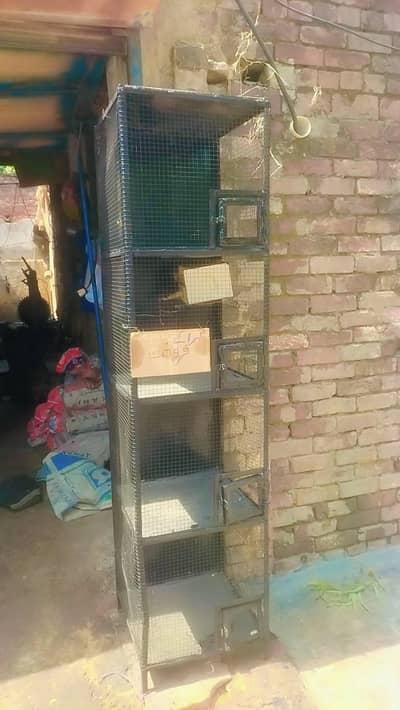 parrot cage 6 ft height