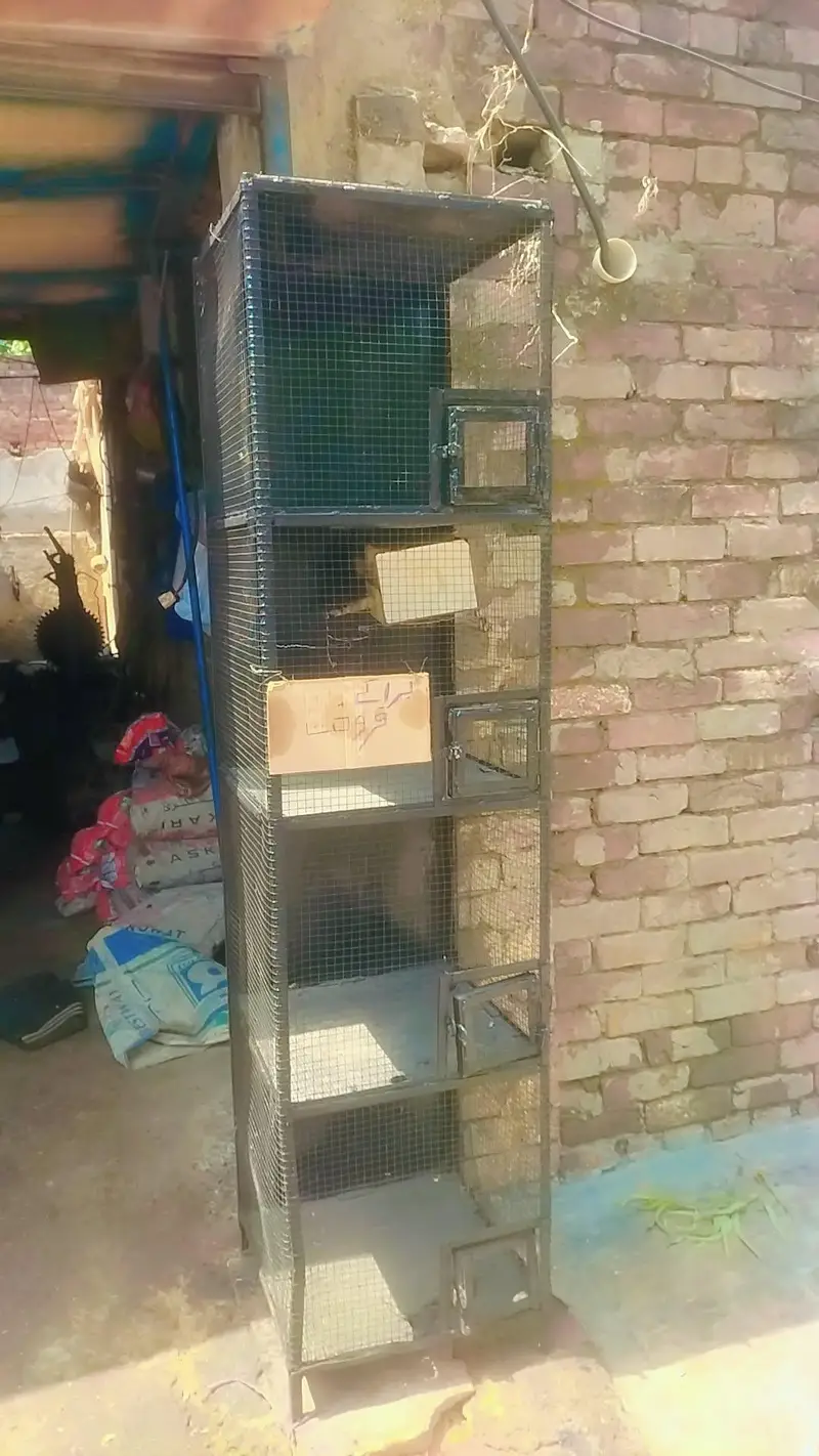 parrot cage 6 ft height