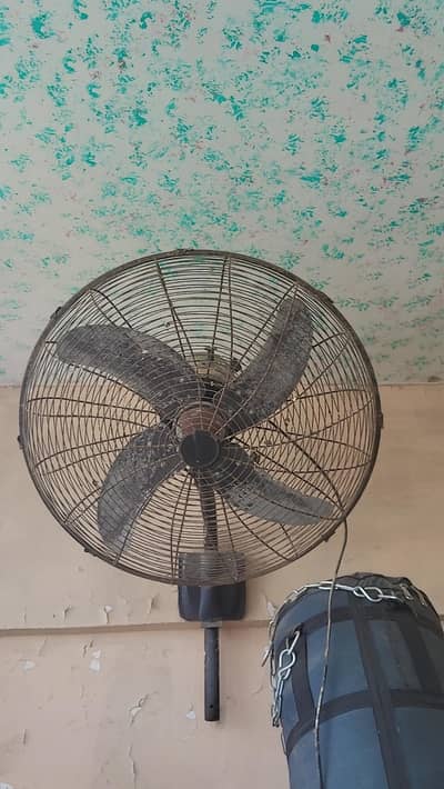 wall fan