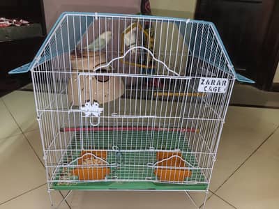 fisher birds