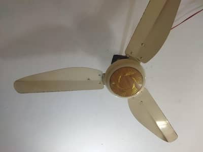 Fan Ac Dc Battery fan