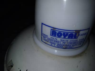 Royal Celling Fan 56 inch