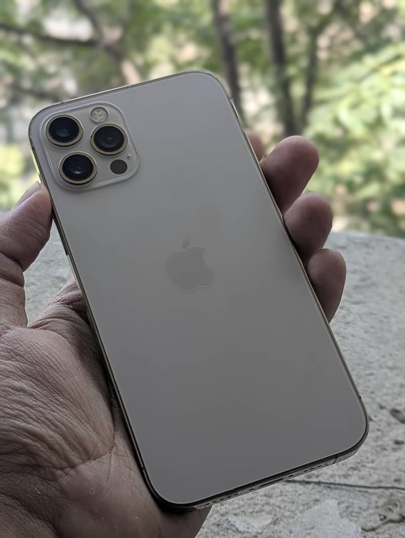iPhone 12 Pro 0