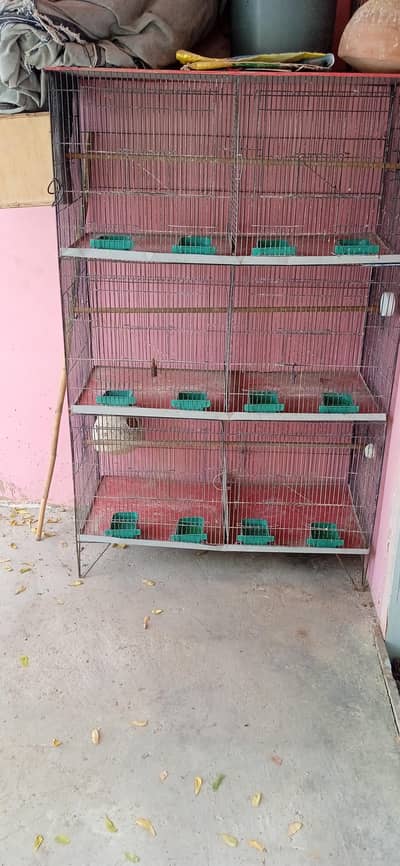 birds cage for sale