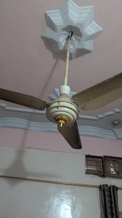 fans two twenty