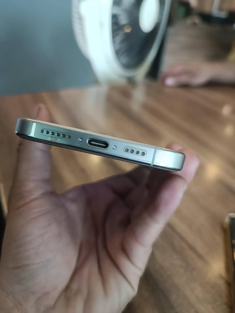 Apple iPhone 16 Pro Max 1