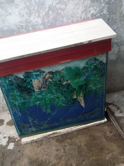 aquarium for sale