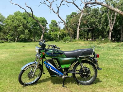 Jolta Electric Bike JE-70L 2024 – Excellent Condition – Low Usage