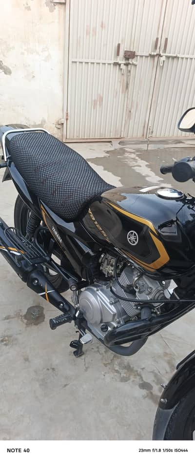 khairpur tamewali district bahawalpur 03085174814 only 4000 chali ha