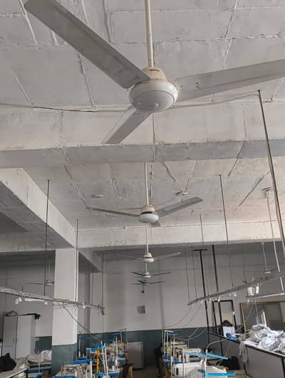 Royal Fan Ac/Dc New Condition Fans set of 5