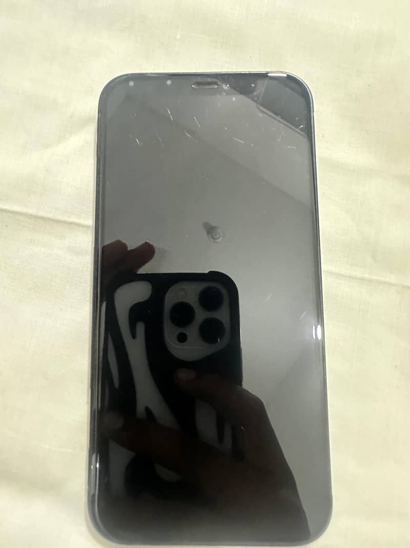 iPhone 12 mini 1