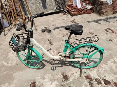 ladies cycle
