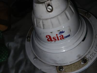 Celling Fans For Sale