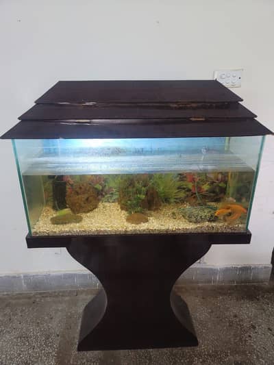 Aquarium